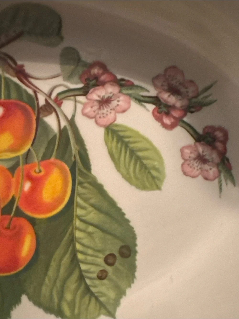 Portmeirion Pomona The Biggereaux Cherry 11.5